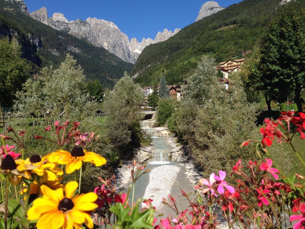 Ginestra *